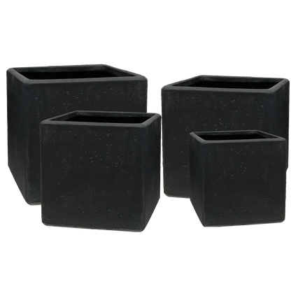 Contemporary Egg Pots and Cubes - Mixed