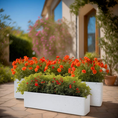 Contemporary Tall Tapered Square and Window Boxes