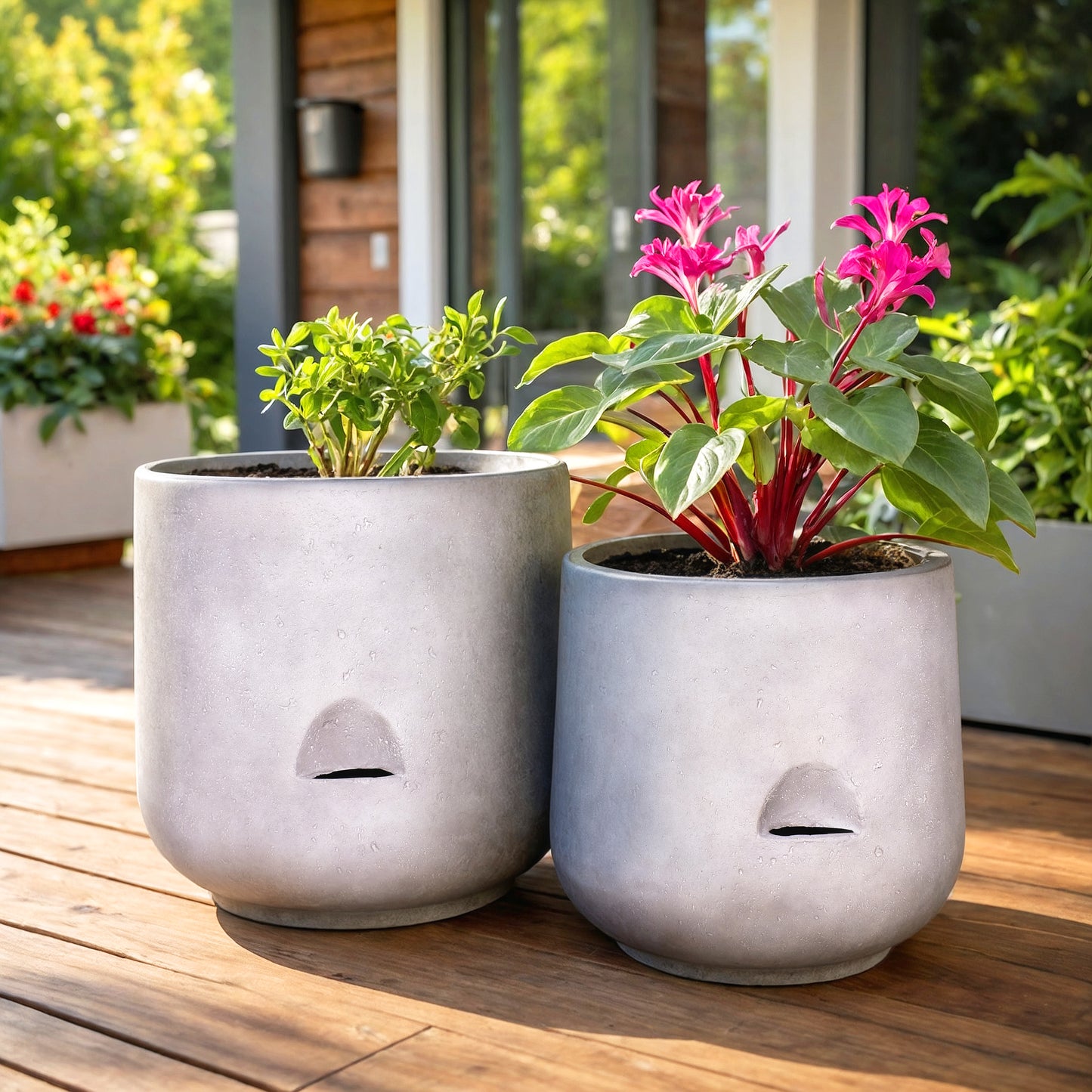 Self Watering Planter