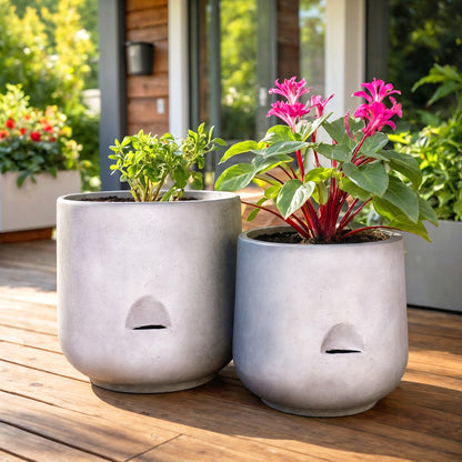 Self Watering Planter