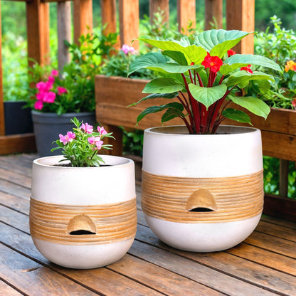 Self Watering Planter